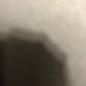 Meet your Posher, Cody